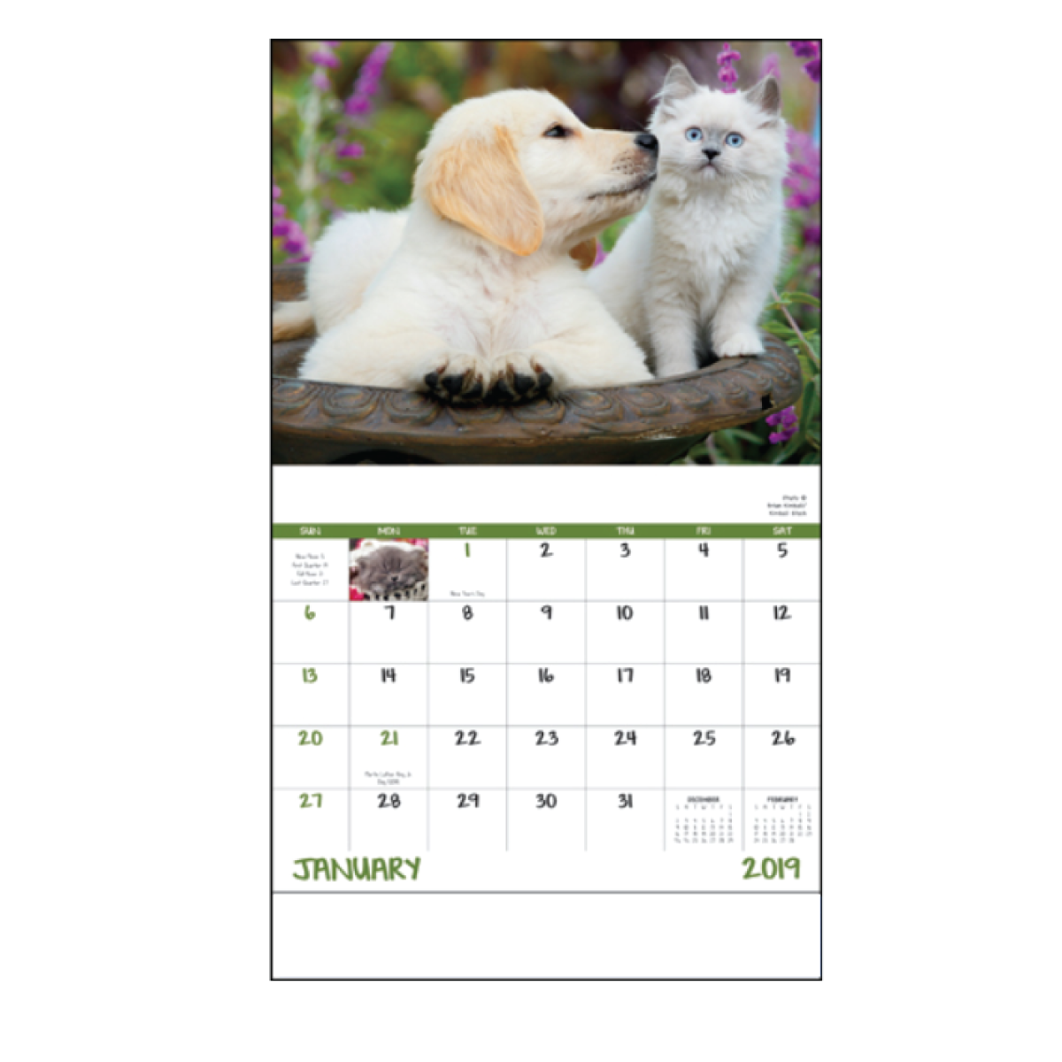 Regular Production Puppy & Kitty Calendar