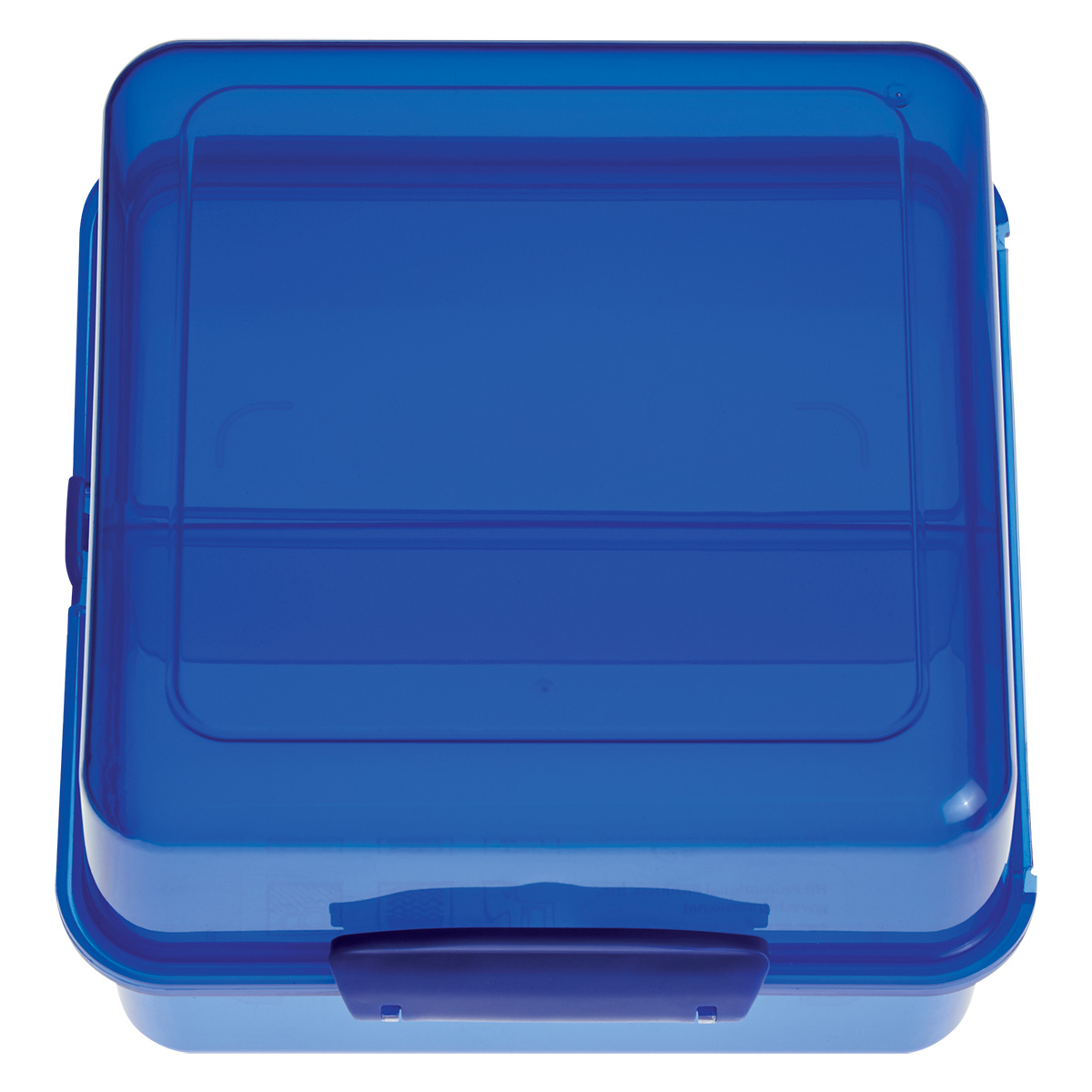 Blue Split-Level Lunch Container